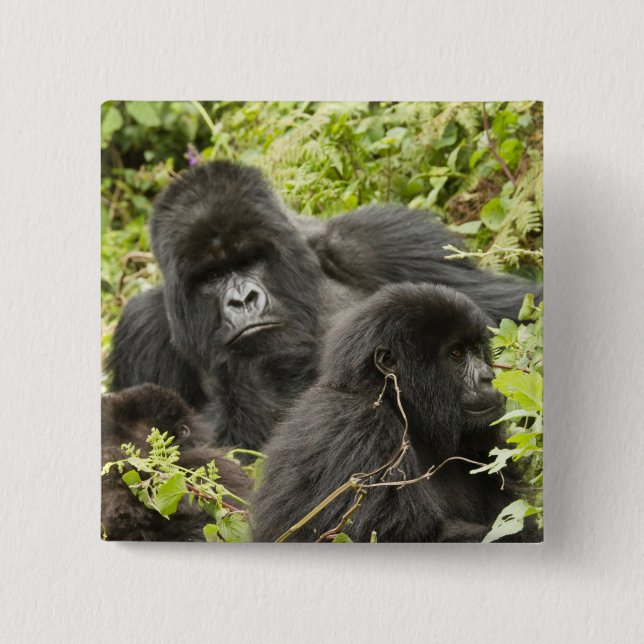 Ruanda, Volcanos-Nationalpark Button (Vorderseite)