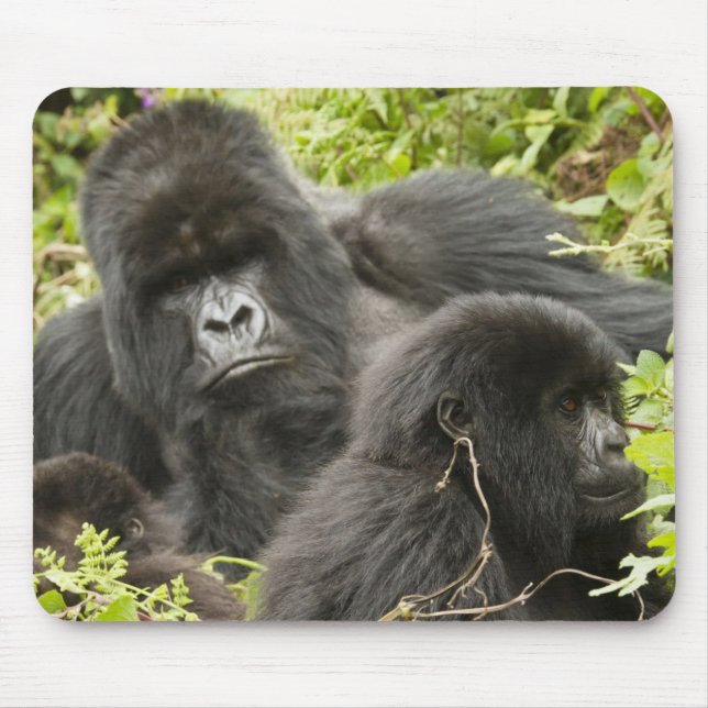 Ruanda, Volcanos-Nationalpark Mousepad (Vorne)