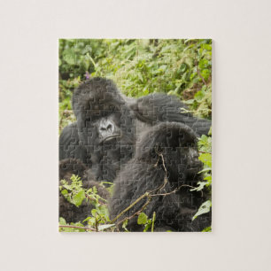 Ruanda, Vulkan-Nationalpark