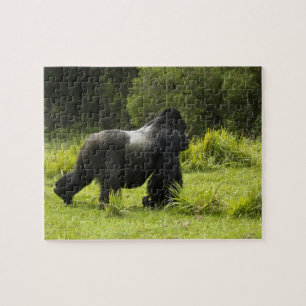 Ruanda, Vulkan-Nationalpark