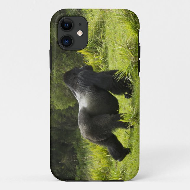 Ruanda, Vulkan-Nationalpark Case-Mate iPhone Hülle (Rückseite)