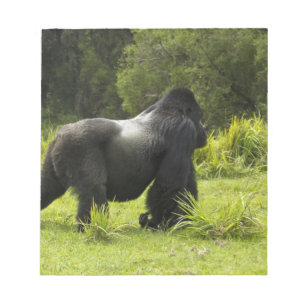 Ruanda, Vulkan-Nationalpark Notizblock
