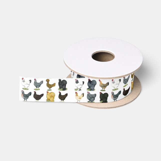 Ruban En Satin 49 poules de poulet (Bobine)