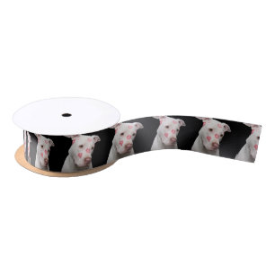 Ruban En Satin Amant Editable de Pitbull