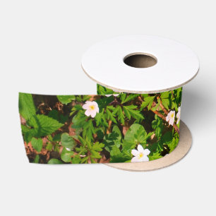 Ruban En Satin Anémone de bois, jolie fleur de printemps