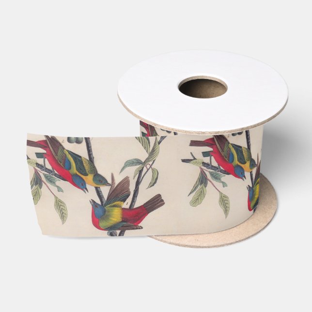 Ruban En Satin Audubon Peint Bunting Bird Wildlife (Bobine)