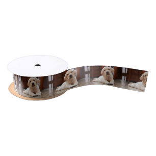 Ruban En Satin Baby Jaune Labrador Chien chiot pondu sur le ventr