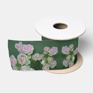Ruban En Satin Beau jardin rose clair roses