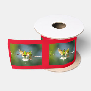 Ruban En Satin Beau Motmot Bird sur Branche