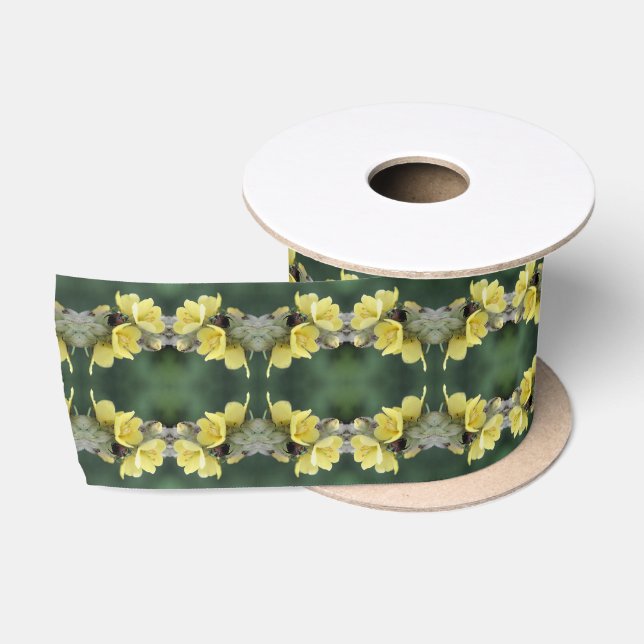 Ruban En Satin Beetle sur Wild Mullein Flower Abstrait (Bobine)