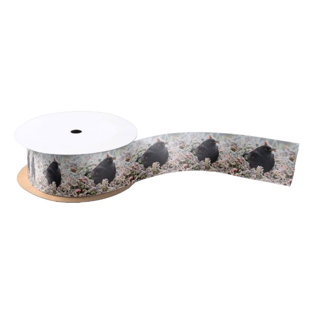 Ruban En Satin Blackbird d'hiver (Bobine)