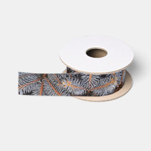 Ruban En Satin Bois d'épinette bleue Pin À feuillage persistant