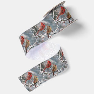 Ruban En Satin Cardinaux de Noël sur une branche d'arbre hivernal