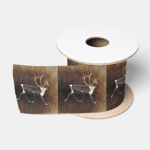 Ruban En Satin Caribou Sur La Fourrure De Caribou