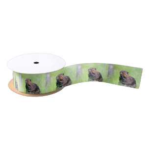 Ruban En Satin Castor humide
