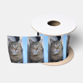 Ruban En Satin Cat