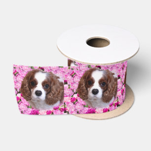 Ruban En Satin Cavalier King Charles Spaniel Pivoines