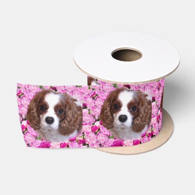 Ruban En Satin Cavalier King Charles Spaniel Pivoines (Bobine)