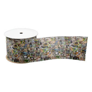 Ruban En Satin Collage photo de chien,