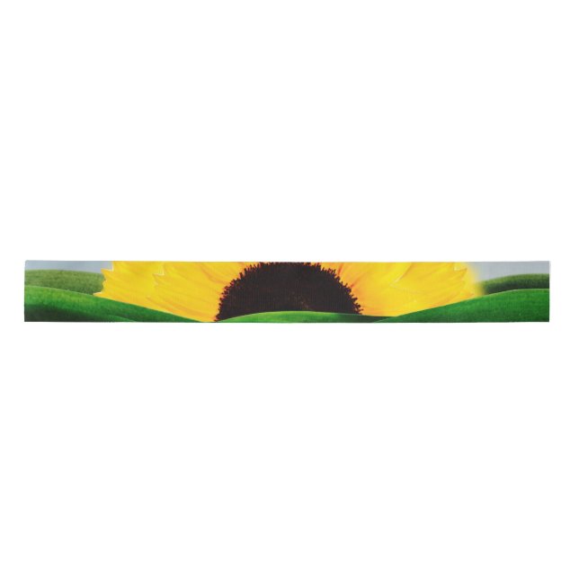 RUBAN EN SATIN COLLINE DU SOL (Devant)