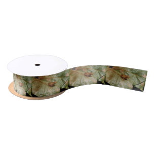 Ruban En Satin Crapaud minuscule