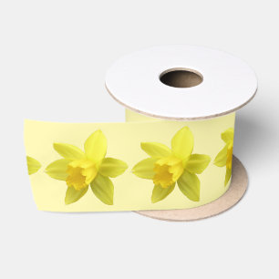 Ruban En Satin Daffodiles jaunes sur Arrière - plan crème