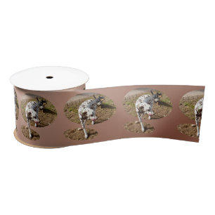 Ruban En Satin Dalmatien Brown,