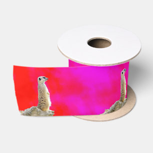 Ruban En Satin Design Meerkat Rouge Et Rose,