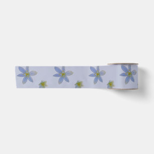 Ruban En Satin fleurir en blanc