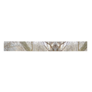 Ruban En Satin forêt hivernale