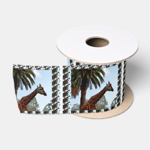 Ruban En Satin Girafe Avec Girafe Edifice,