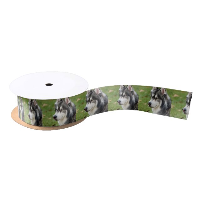 Ruban En Satin Husky (Bobine)