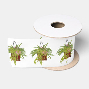 Ruban En Satin Illustration botanique d'une plante grimpante de l