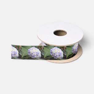 Ruban En Satin Jolie Blue Floral Hydrangea Photo