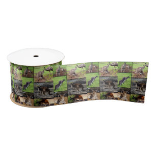 Ruban En Satin Kangaroo Photo Collage,