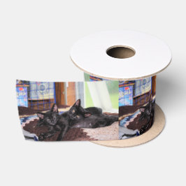 Ruban En Satin Kittems