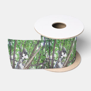 Ruban En Satin Kitten Dans Le Dessin Au Crayon Arbre,