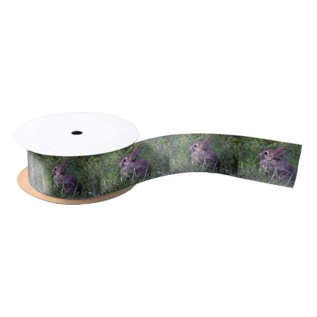 Ruban En Satin Lapin 8603 (Bobine)