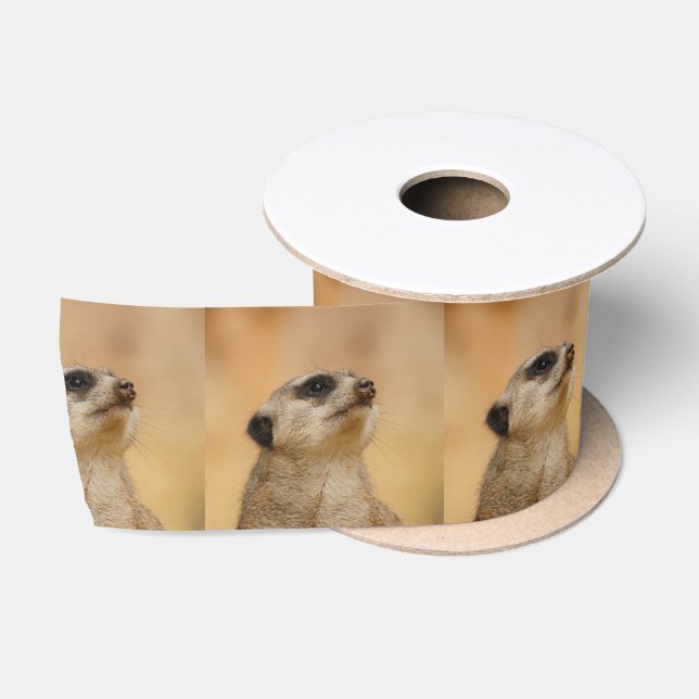 Ruban En Satin Meerkat20151002 (Bobine)