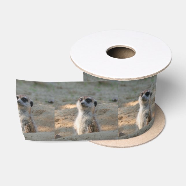 Ruban En Satin Meerkat 004 (Bobine)