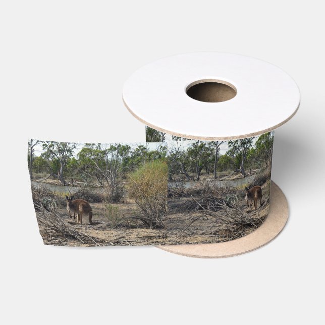 Ruban En Satin Moment tranquille : Kangaroo australien à Billabon (Bobine)