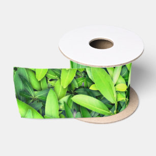Ruban En Satin Motif Feuille verdoyant - Nature Botanique