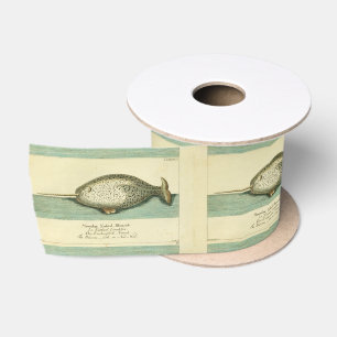 Ruban En Satin Narwhal Antique Baleine Aquarelle Art scientifique