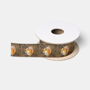 Ruban En Satin papier d'emballage de renard, enveloppe de cadeau