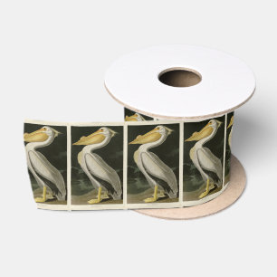 Ruban En Satin Pélican blanc américain, oiseaux d'Amérique d'A