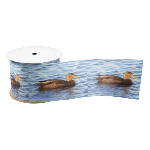 Ruban En Satin Photo de canard