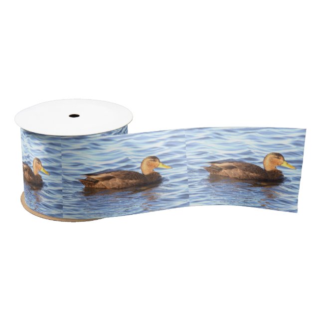 Ruban En Satin Photo de canard (Bobine)