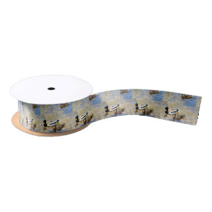 Ruban En Satin Photo de canards