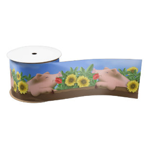 Ruban En Satin Pic de Pan