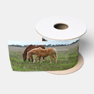 Ruban En Satin Poulain Palomino Et Jument Alezan,
